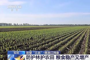 半场-曼城2-1热刺 孙兴慜破门后乌龙福登反超哈兰德失空门+失良机